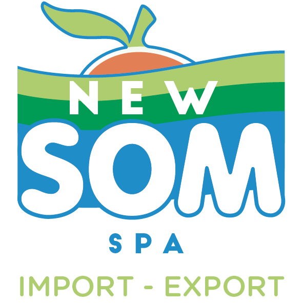 NEW SOM Logo