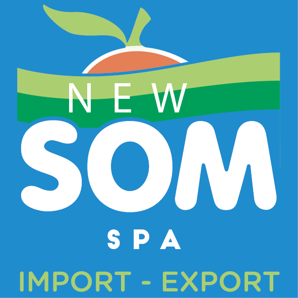 NEW SOM Logo
